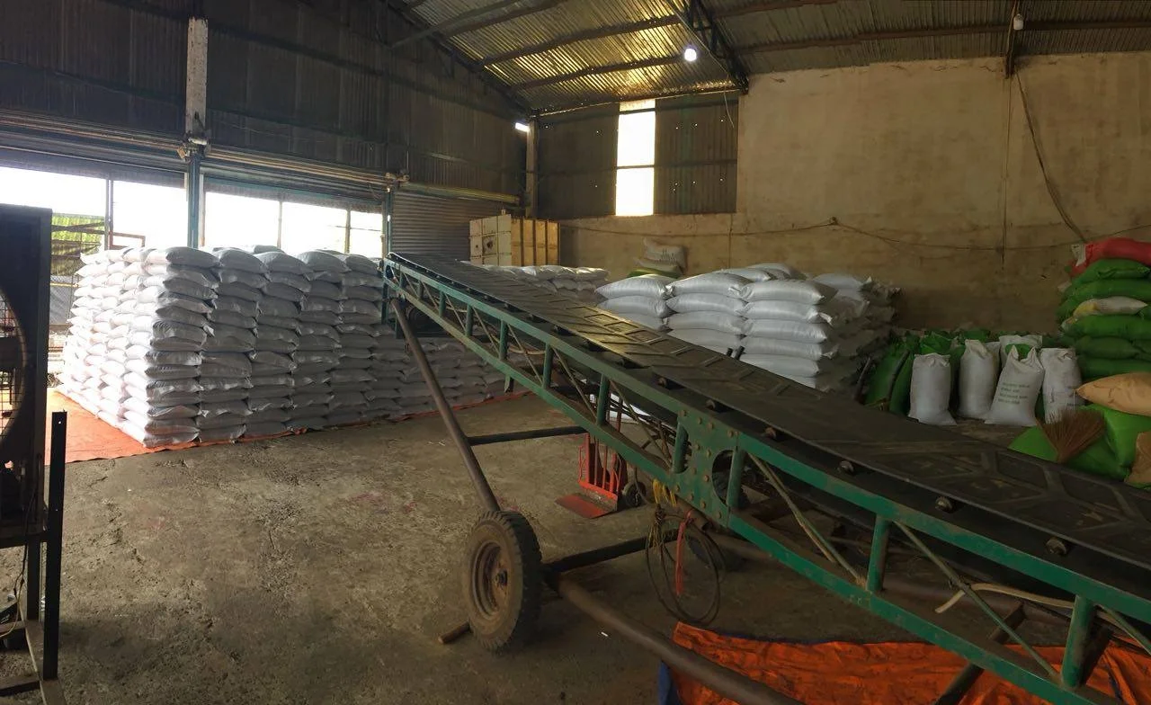 Горячий черный перец 500 г/л для экспорта высокое качество хорошие цены всех стран мира