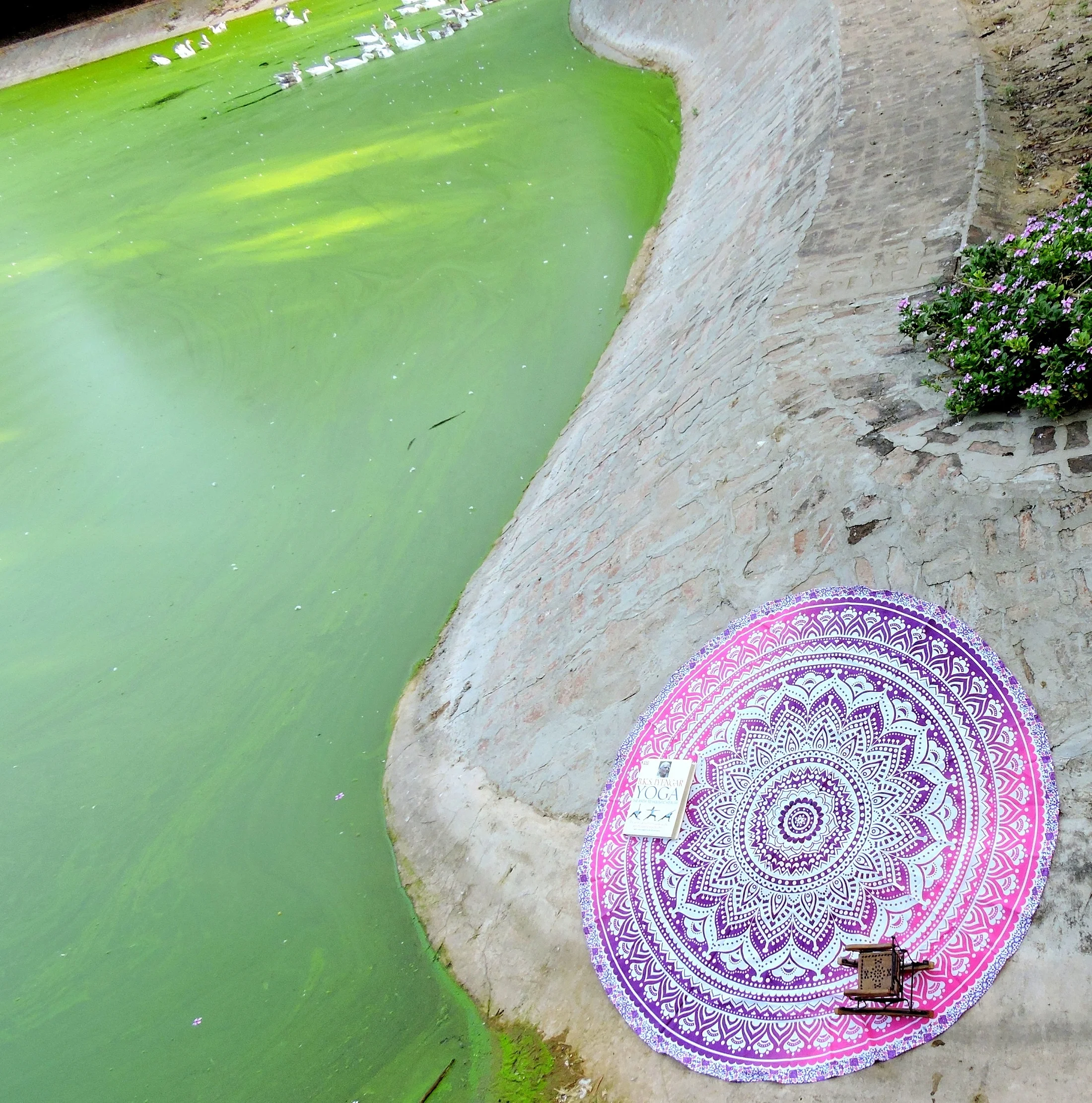 mandala roundie cotton holiday Cheap Mandala Beach Towel Table Cloth Round With Pom Pom Lace Tapestry Beach Towel Tapestry
