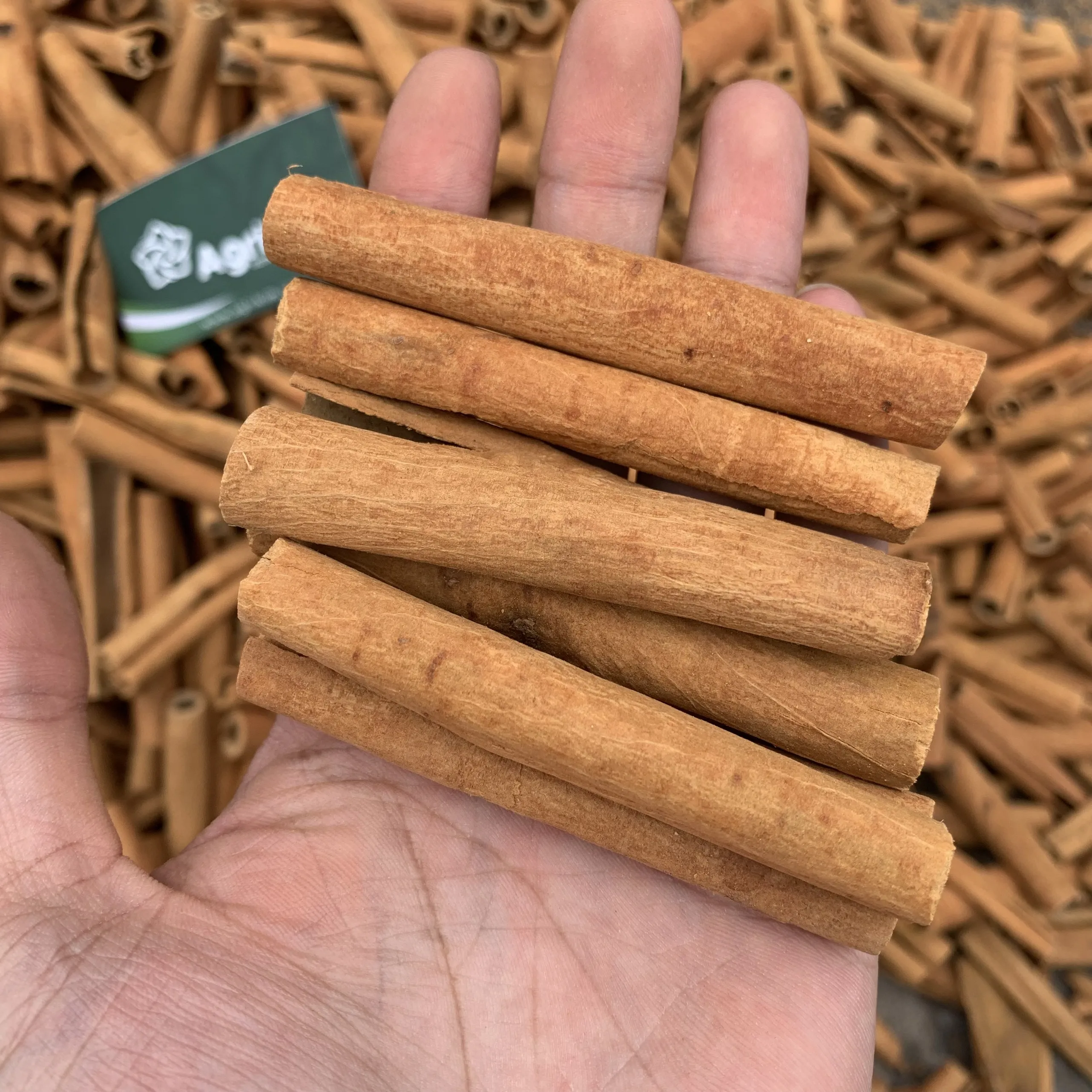 High Grade Cigar Cassia Spicy Flavour Factory Direct Export Wholesale Price Private Labeling Ready To Ship +84 326055616