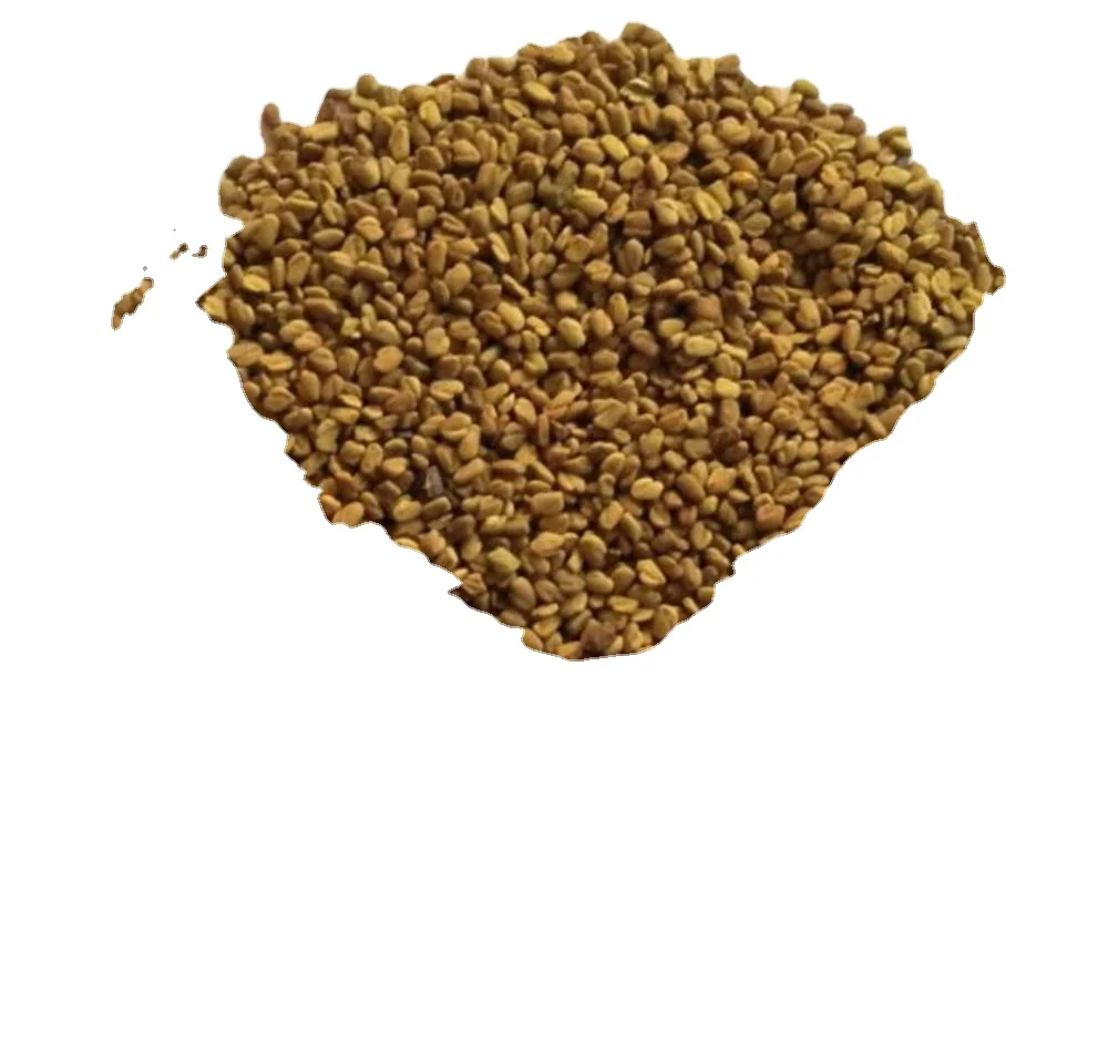 Egyptian Fenugreek Seeds