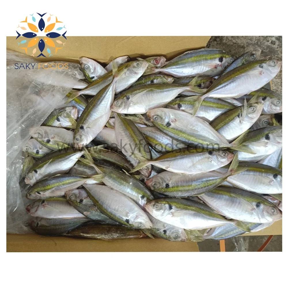 High Quality Seafood Frozen Yellow Stripe trevally fish sale good price