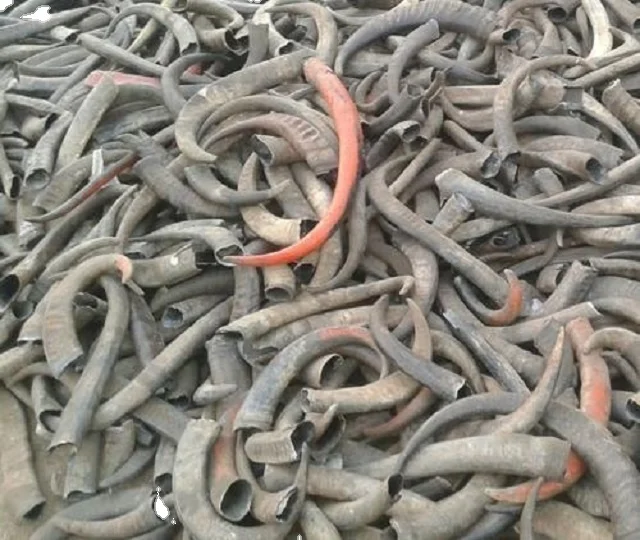 Quality and ox and Buffalo Horn Tip for sale at very polished customized horn tips with natural craft