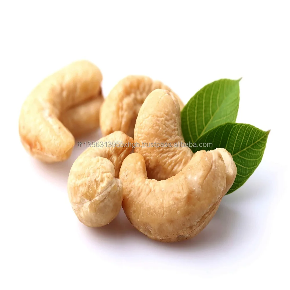 cashew-240-1.jpg