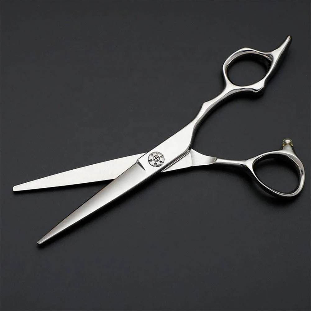 Professional Hair Scissors 6 Inch Hairdressing Scissors for Salon and Home Japan Silver HRC OEM Customized Steel Stainless Style