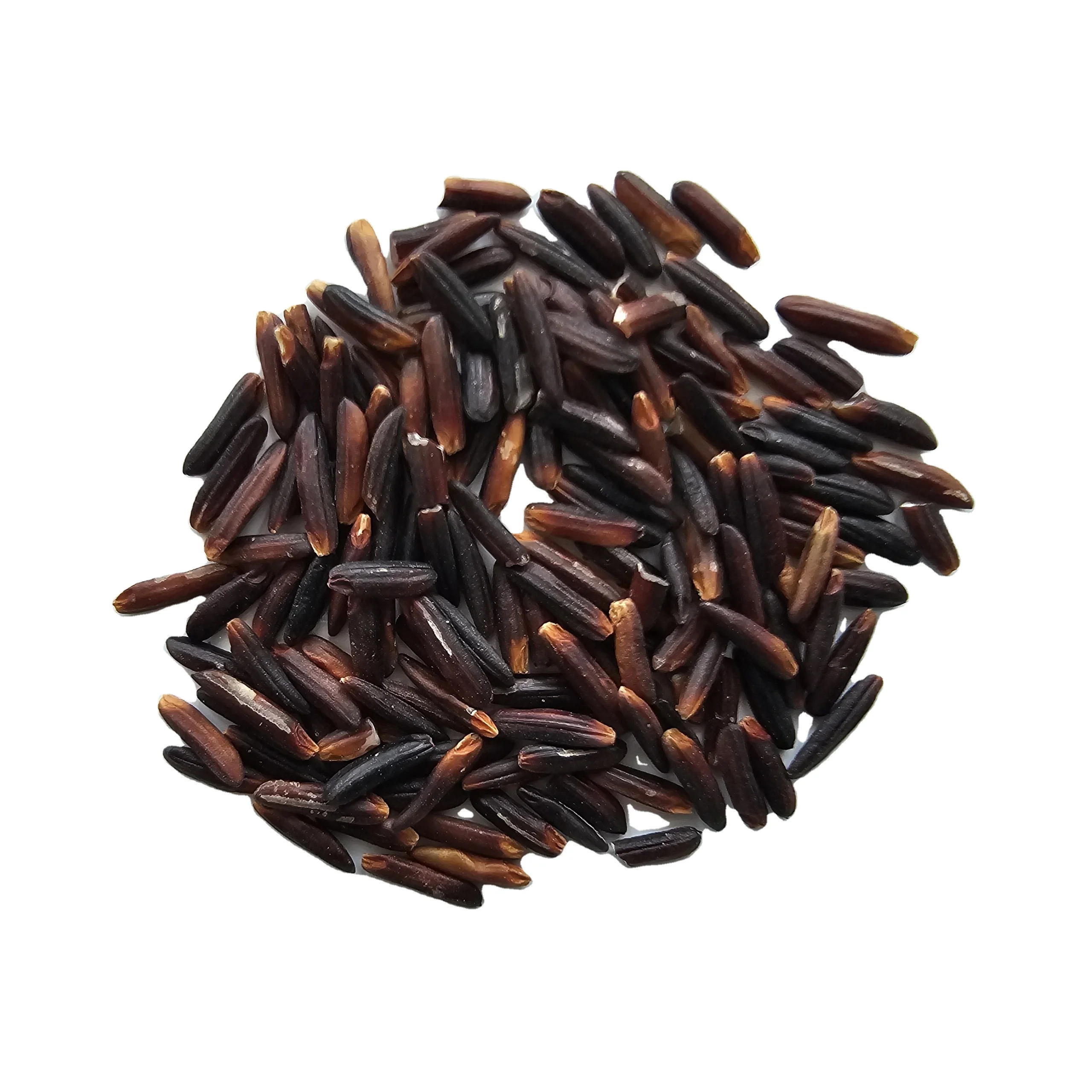 Supply Black/Red/Brown Rice for Wholesaler/Retailer/Importer with Exclusive or Private brand- WA: +84 944500504