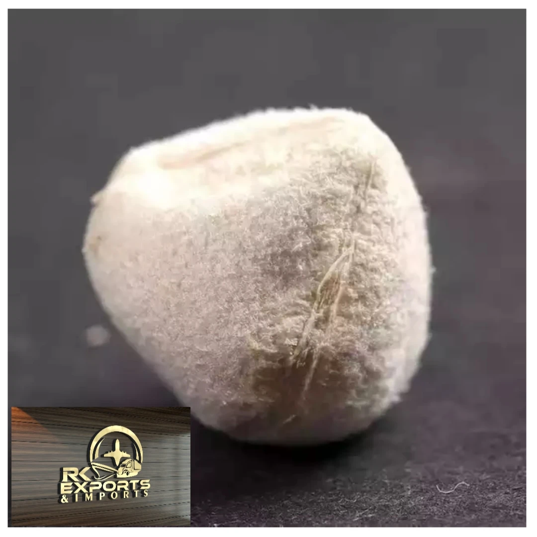 PKM1 MORINGA SEED DRUMSTICK SEED wholesale supplier and exporter original PKM1/PKM2 VARIETY MORINGA SEED