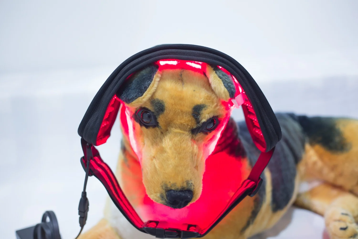 Pain Treatment Physical Laser Therapy Machine Equine Laser Veterinary  Diode Laser