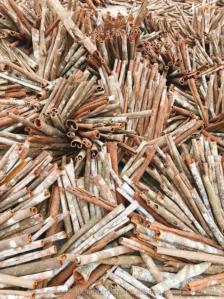 High Grade Single Species Cinnamon Split Whole Sale Price Delicious Taste from Vietnam