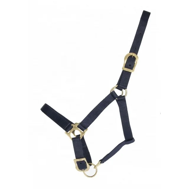 Leather Halter With Chain Lead.