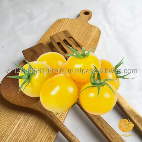 Set 2 - Acacia Wooden Spatula - Non-stick Cookware - ODM, OEM - Eco-friendly Kitchenware - Customized Accepted