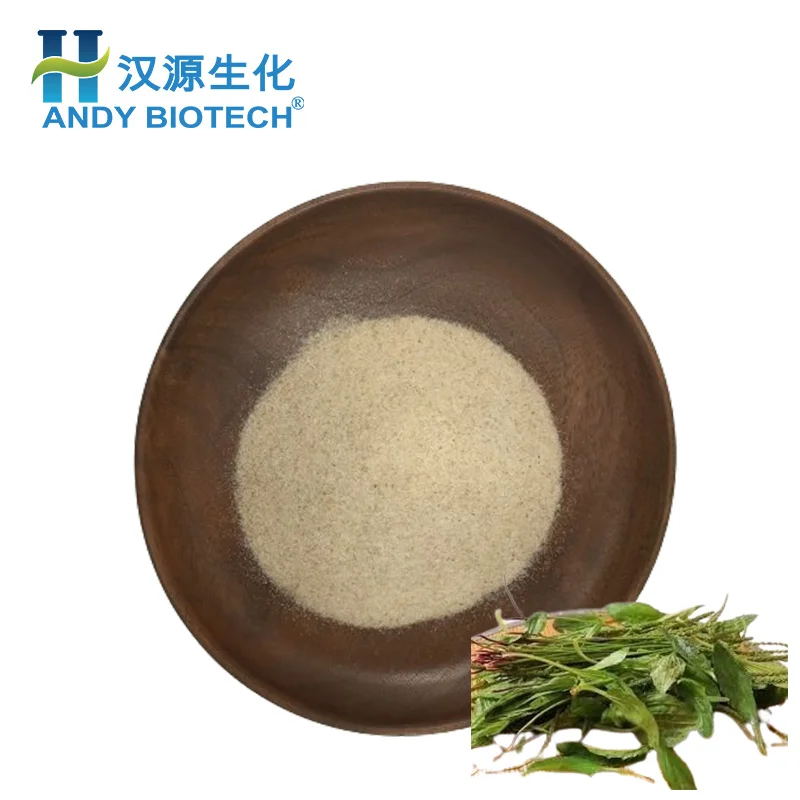 Factory Price Food Grade Plantago Ovata Extract 95% Psyllium Seed Husk Powder