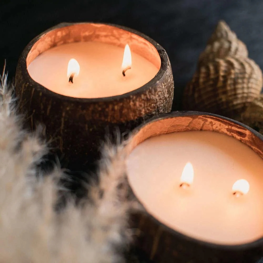 100% Natural Eco Friendly Coconut Candle Scented Candle in Coconut Shell