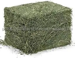hay (3).jpg