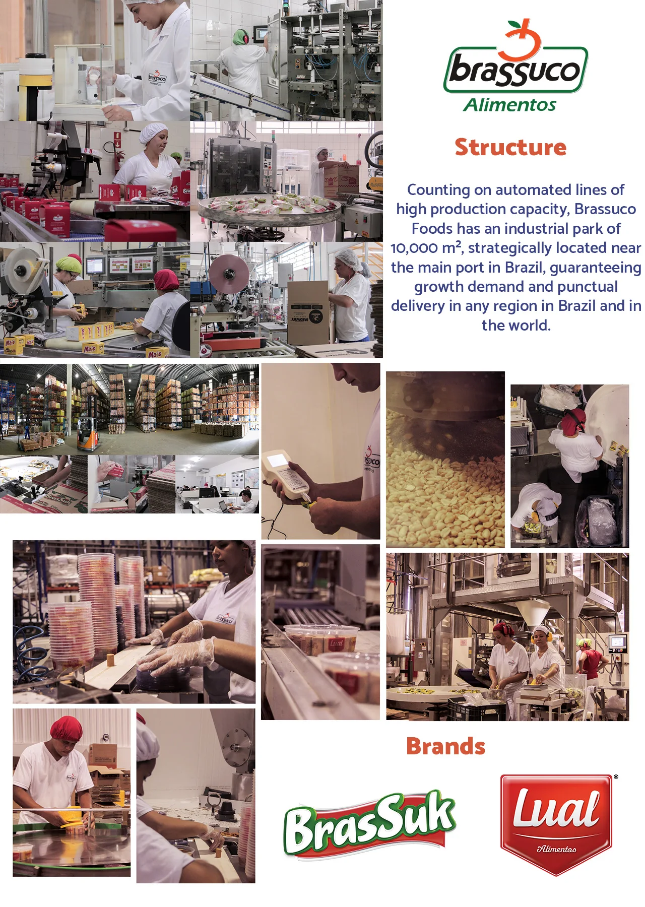 Healthy Cashew Kernel Snack Cheap Price Delicious Brazil Food Gluten Free Cashew Roasted Nuts Leisure Snack