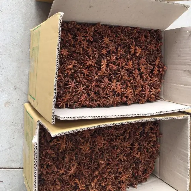 Star Anise 2022 оптовая продажа с завода Заказные специи сушеные осенние звезды Aniseeds сделано во