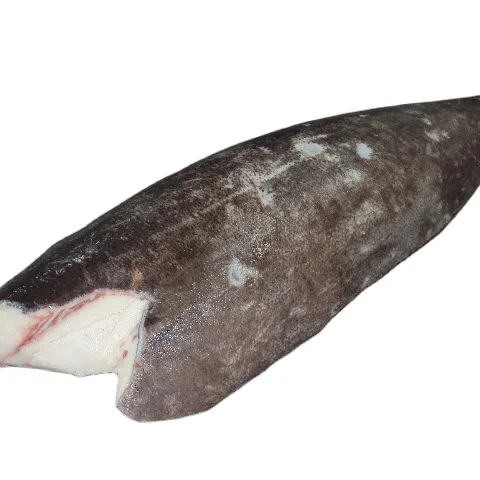 High Quality  Frozen  Oilfish Fillet /  Oilfish HGT(Lepidocybium Flavobrunneum)