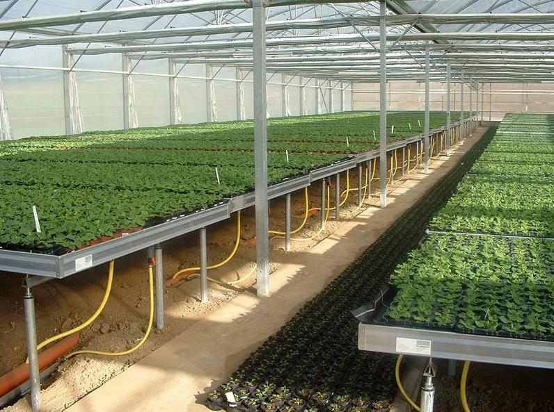 2021 Тепличный поднос для выращивания растений