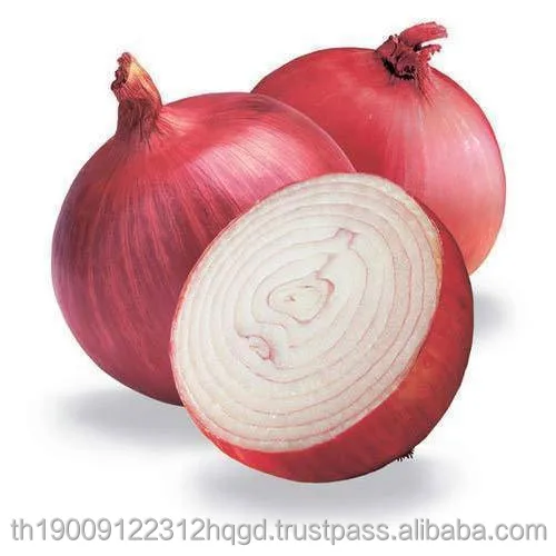 fresh-onions-5.jpg