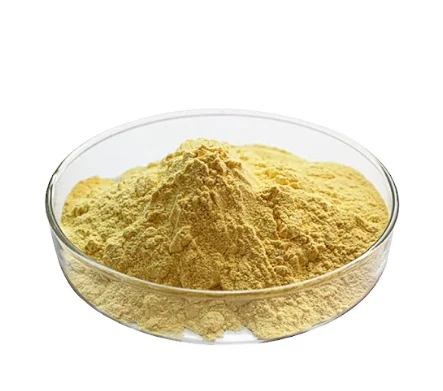American Ginseng 5% Ginsenosides