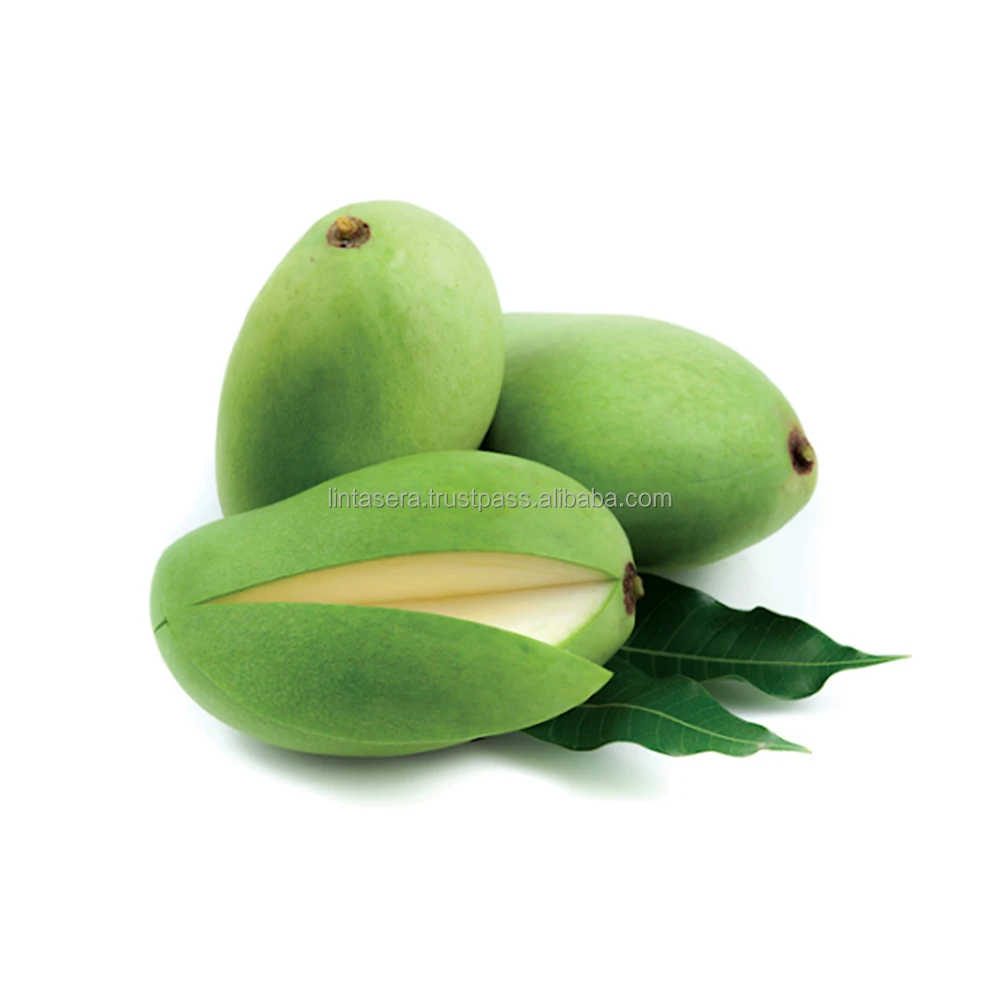 
Thailand Best Export Quality Green Mangoes 