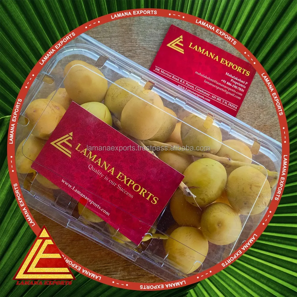 
Barhee Dates / Palm Dates / Date Fruit 100 % fresh and Natural with best prices and discount 