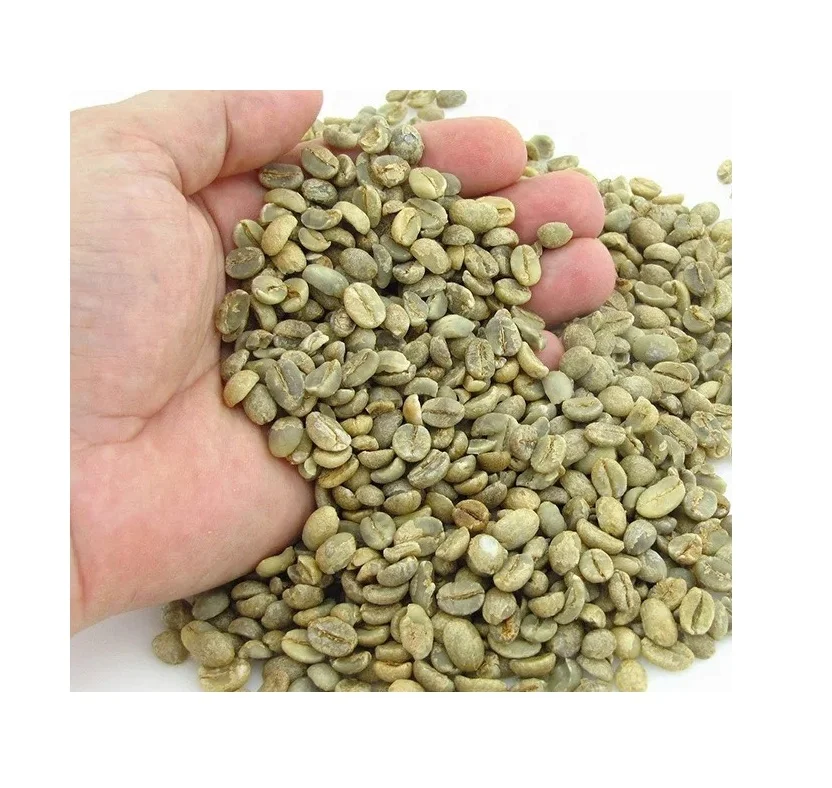 Высококачественный КОФЕ Robusta по хорошей цене от вьетнамского агробренда