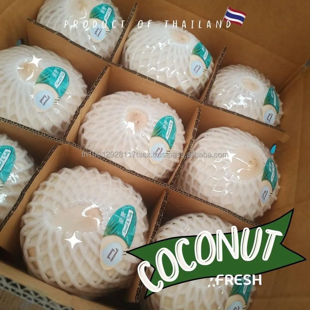 fresh Coconut fresh young coconut thailand coconut bowl