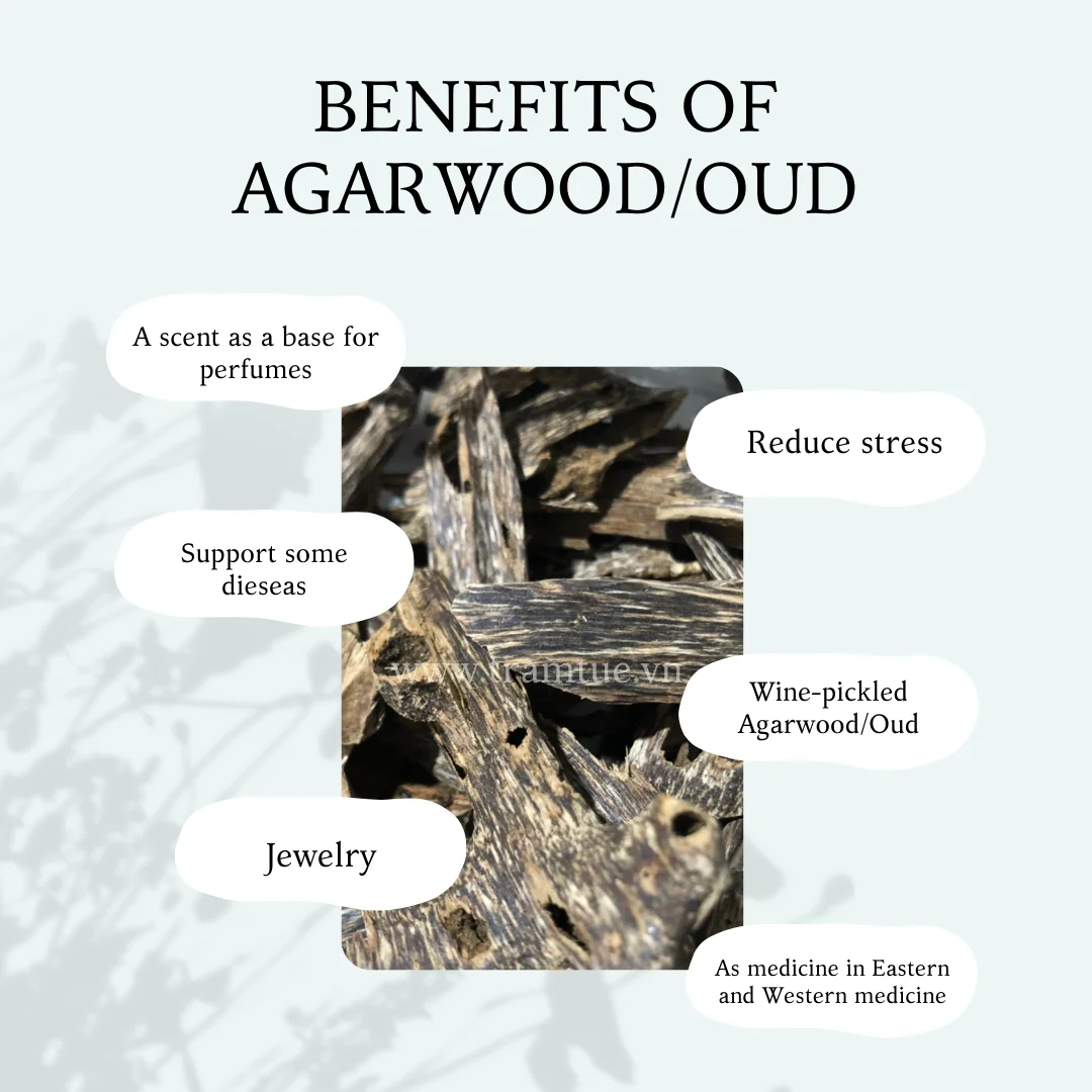 Vietnamese Hot Whole Sale High-quality Natural no Chemical Oud Agarwood Chips Pieces for making Oudh Incense Cone, Stick, Coil