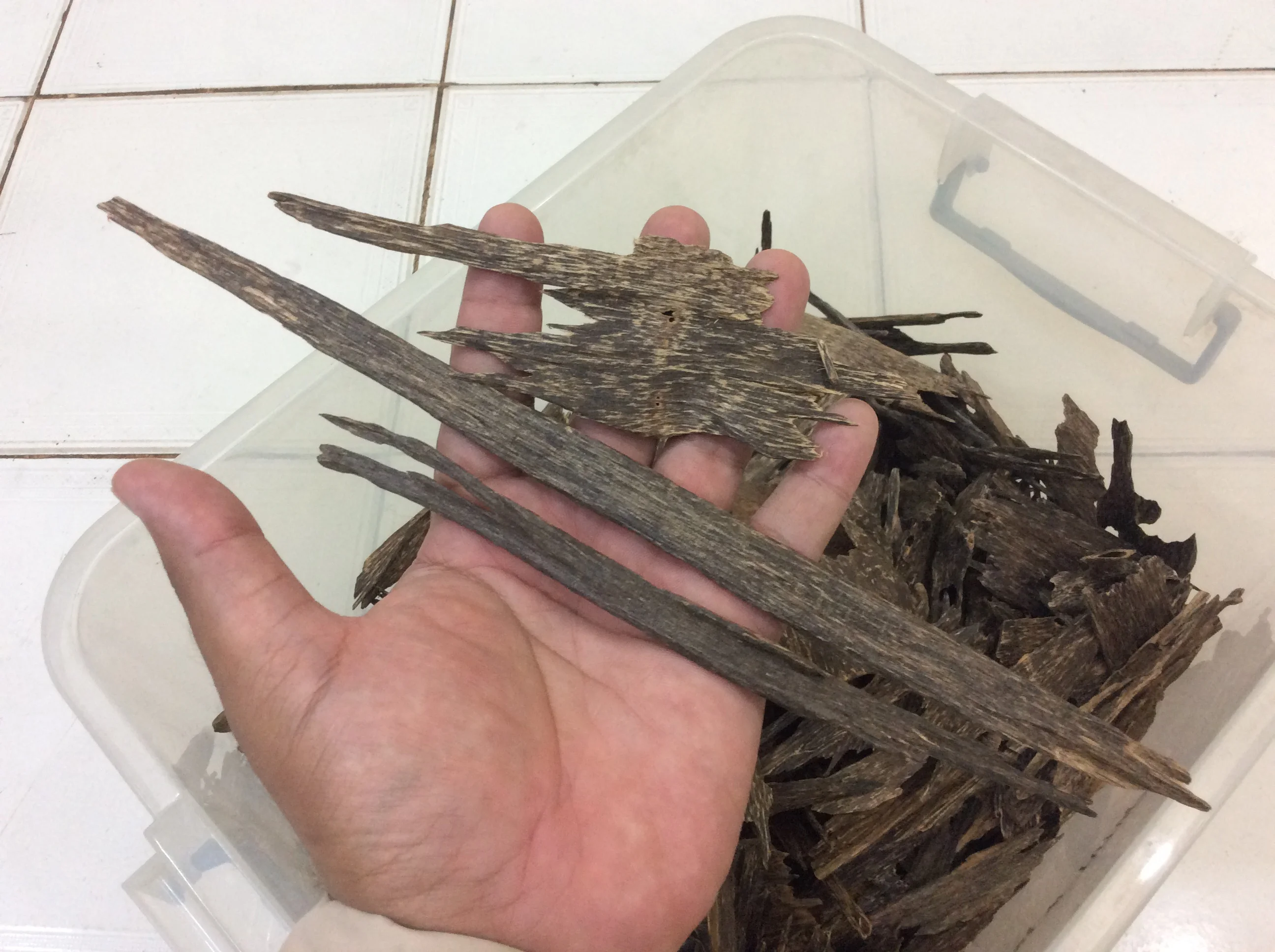  Эфирное масло TRIPEL SUPER Oud East Kalimantan