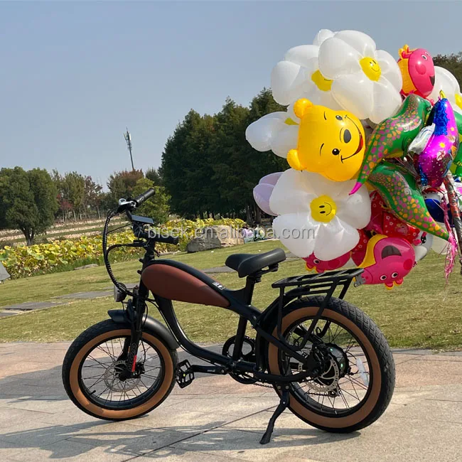 Super 750W Powerful 20 Inch Fat Tire Snow /Beach Electric Bicycle Dual Disc Brake Fat Tire Electric Mountain Bike