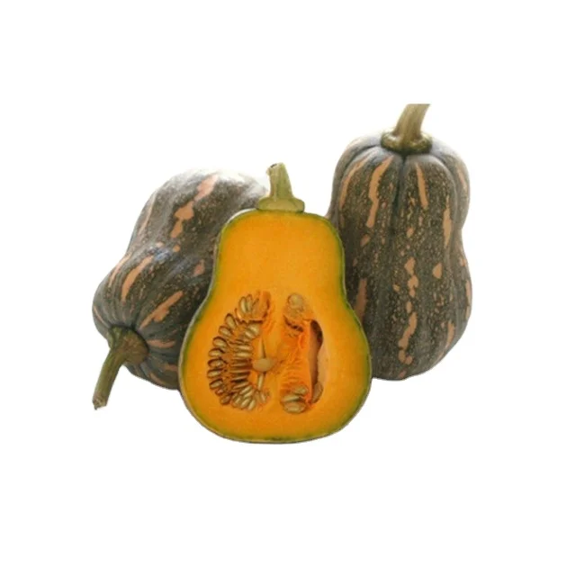 
Wholesaler High Quality Pumpkin Fresh Vegetables And Fruits Good Quality Fresh Pumpkins Vegetables For Sale 