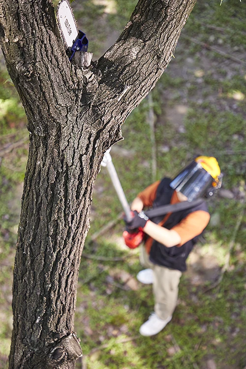 Aerial Chainsaws