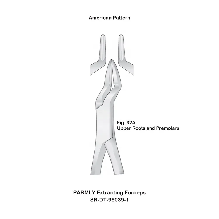 Stainless Steel Dental Extracting Forceps Upper Incisors and Roots