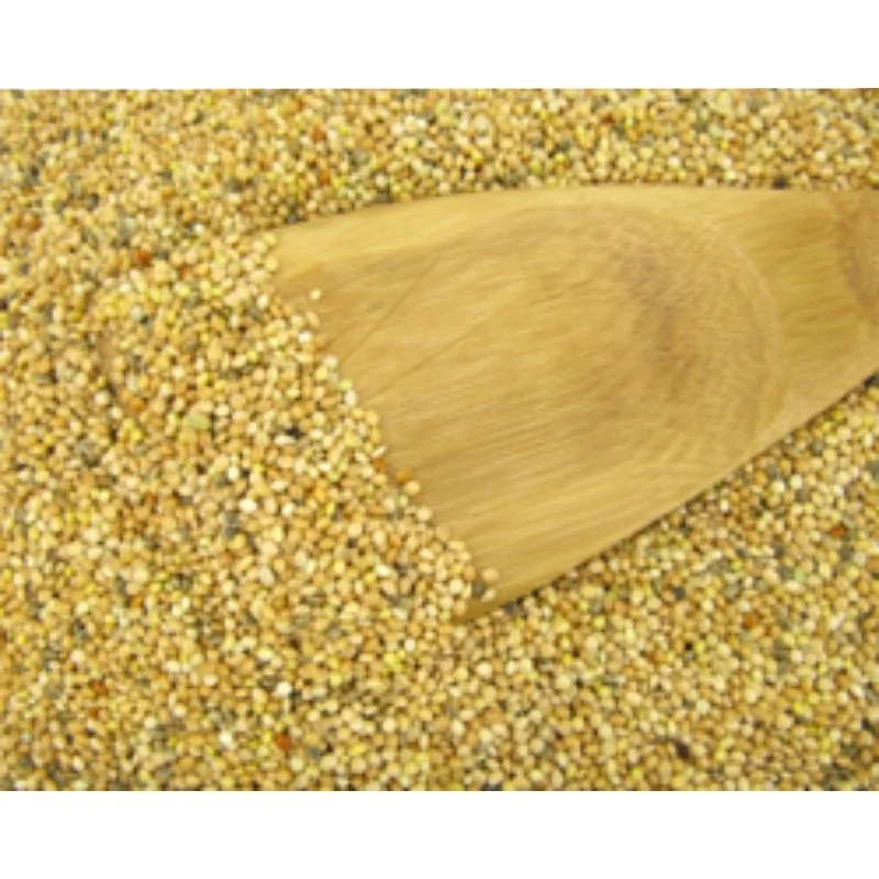 Natural green millet yellow millet bajra Indian origin feeds