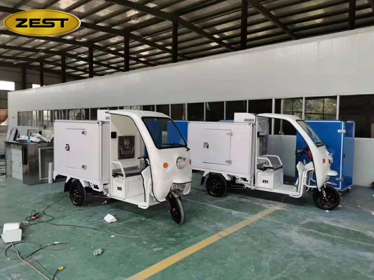 China best frozen tricycle cabin three wheel motorcycle cargo tricycle for sale