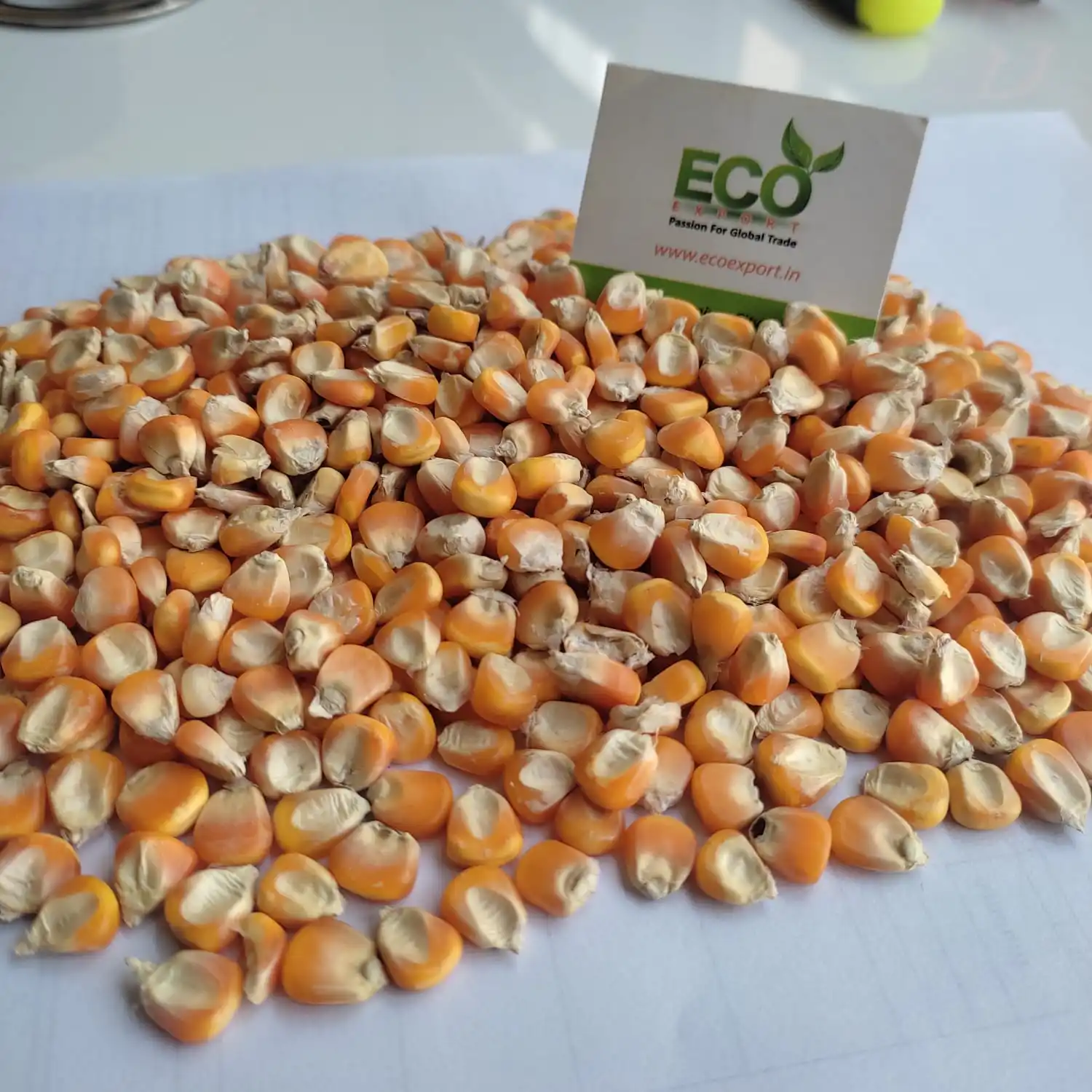 Rich Quality Yellow Corn Supplier