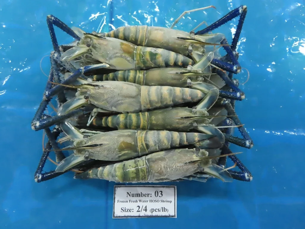 High quality Wholesale Raw HOSO Freshwater Shrimp Shell On made in Vietnam Fresh Seafood ready to ship