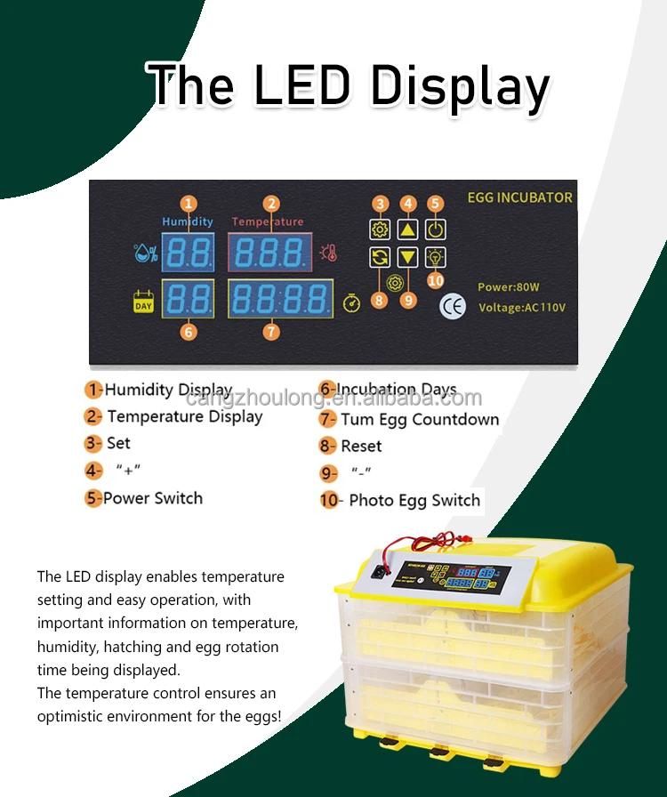 ZZ Fully Automatic Chicken Egg Incubator 48 Capacity Eggs Incubator For Sale
