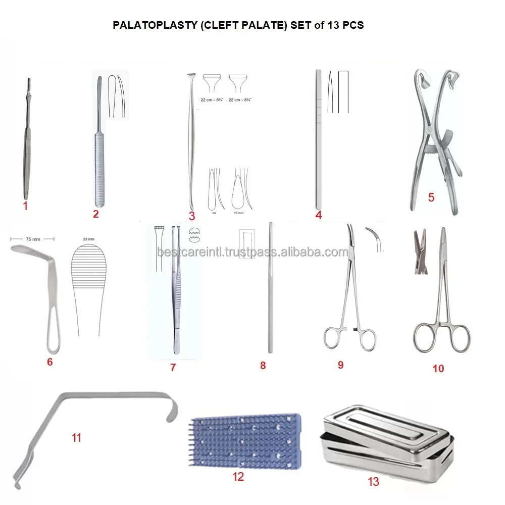 paltoplasty set.jpg