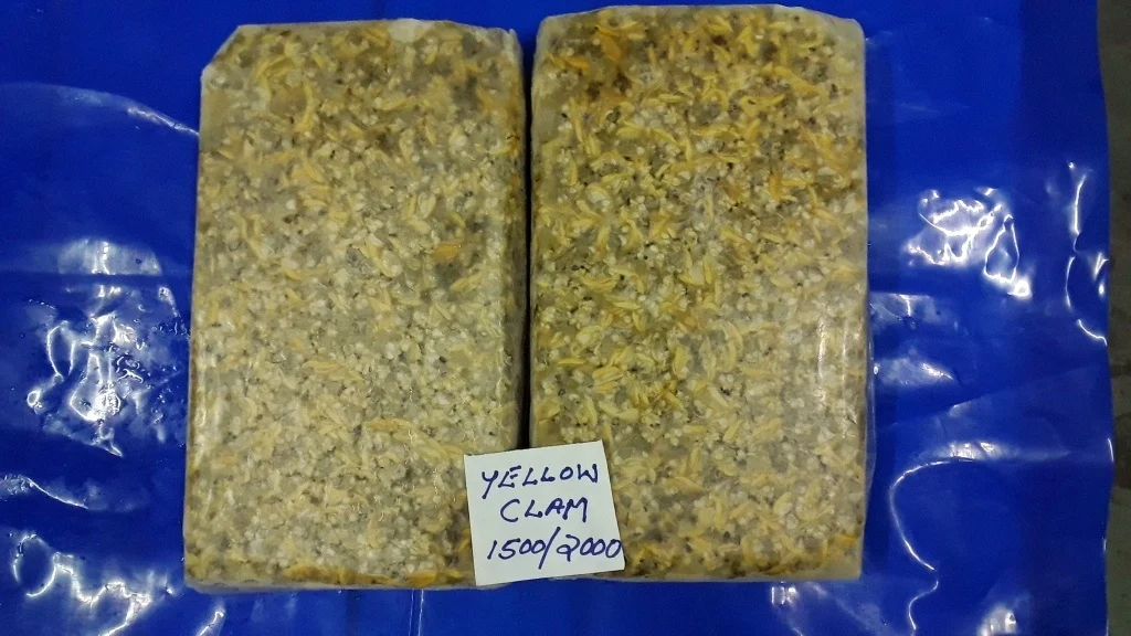  Замороженное желтое моллюсковое