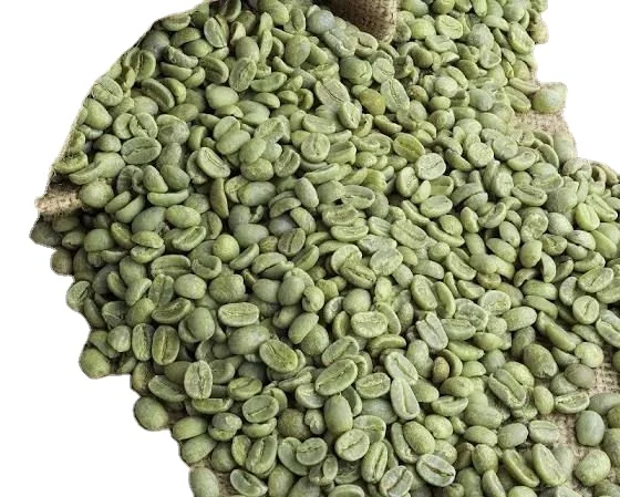Вьетнамская зеленая фасоль ROBUSTA ARABICA кофе Лучшая цена Хорошее качество S16 S18 чистый сорт 1 упакован в мешок 60 кг