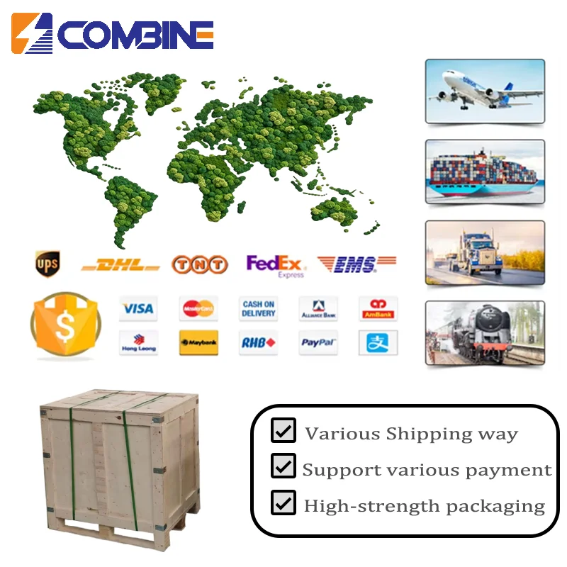 Customization 100kWh High Voltage Battery Pack for Electric Powered Truck EV Car Long Cycle Battery Pack with BMS
