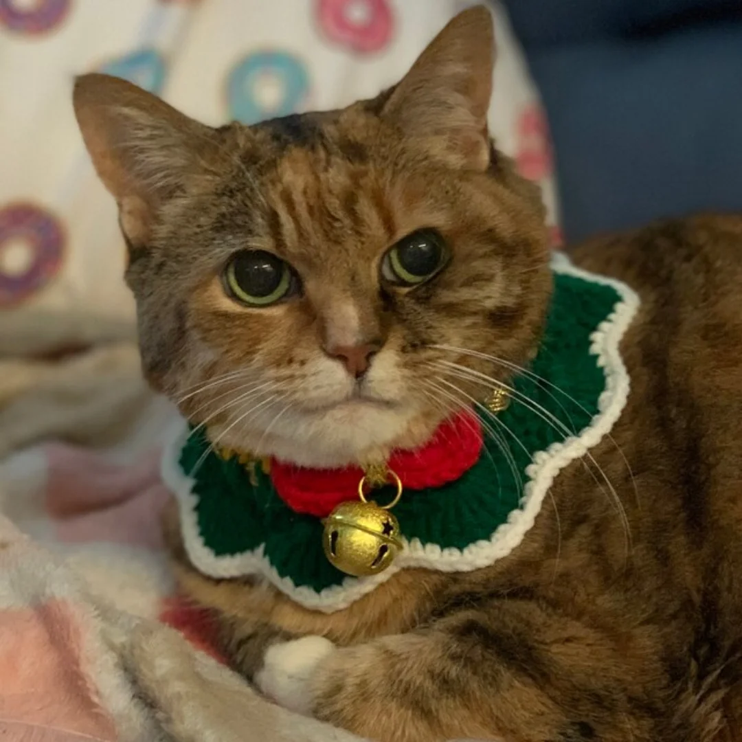 Handmade Crochet Knitted Collar for Cat Dog Pets  Necklace for Animals   from Viet Nam HOANG LINH SG Kimy +84938616690