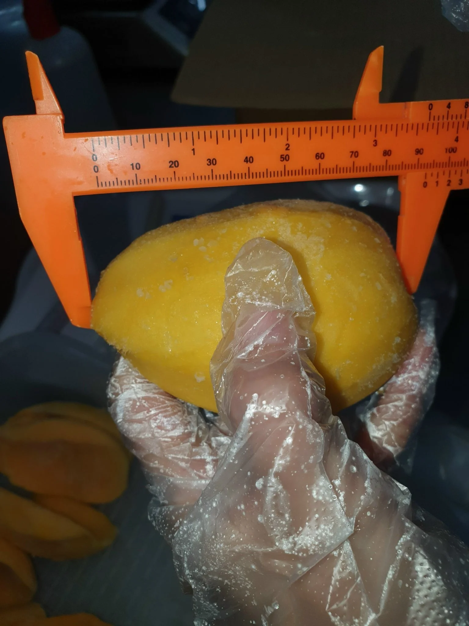  IQF Frozen Mango cat chu sliced high quality from VietNam (Whatsapp: +84906880004 (Mr.Dat)