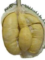 Durian Fresh Fruits Premium From Thailand Fresh Durian Export to New Zealand