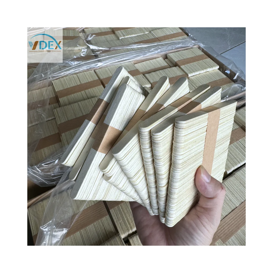 Ice Cream Wooden Sticks With or Without logo Plastic Large Disposable Ice Cream Popsicle Sticks Lollipop Wood Craft Sticks
