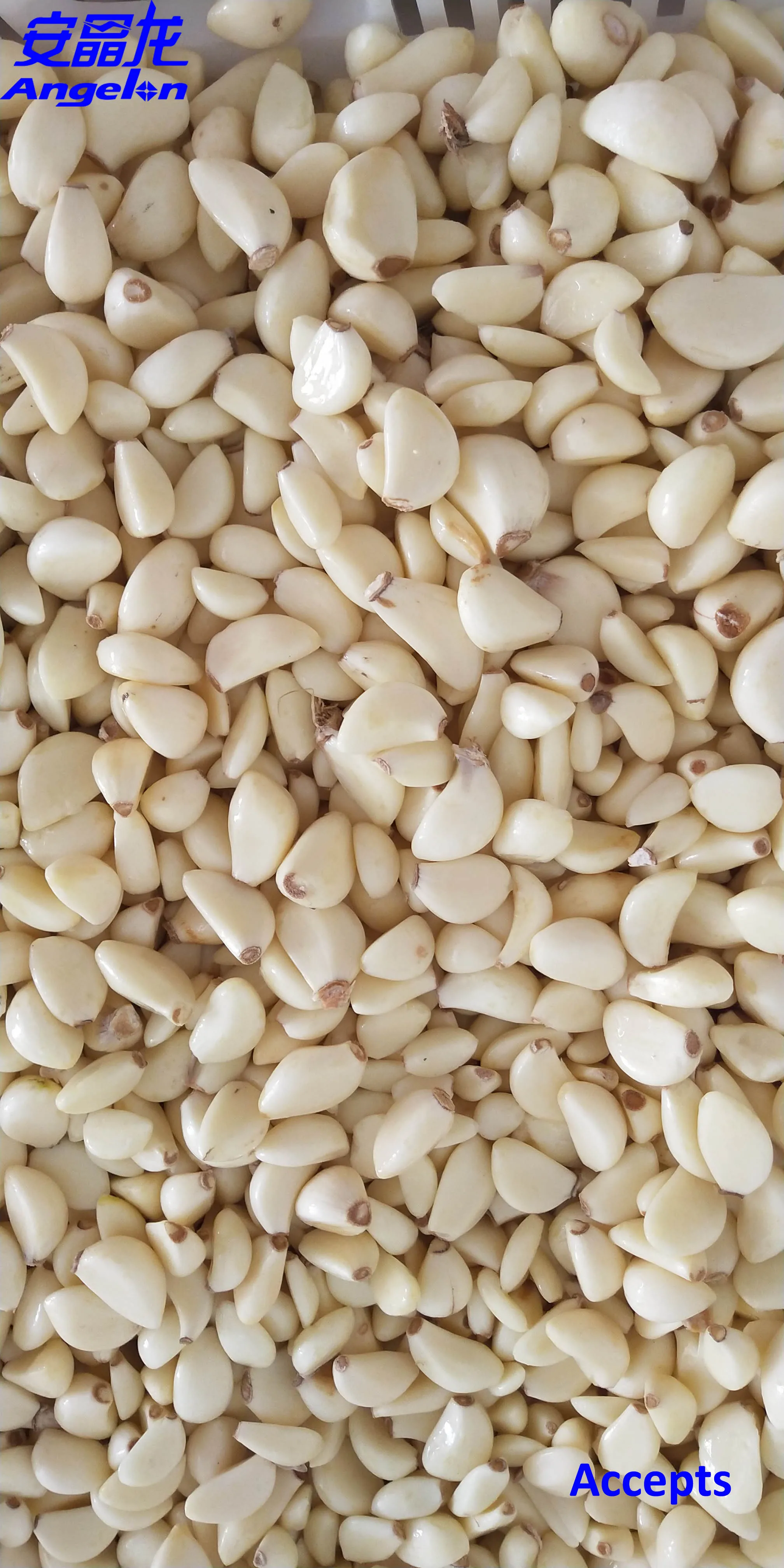 2021 new style colour sorter with garlic products sorting