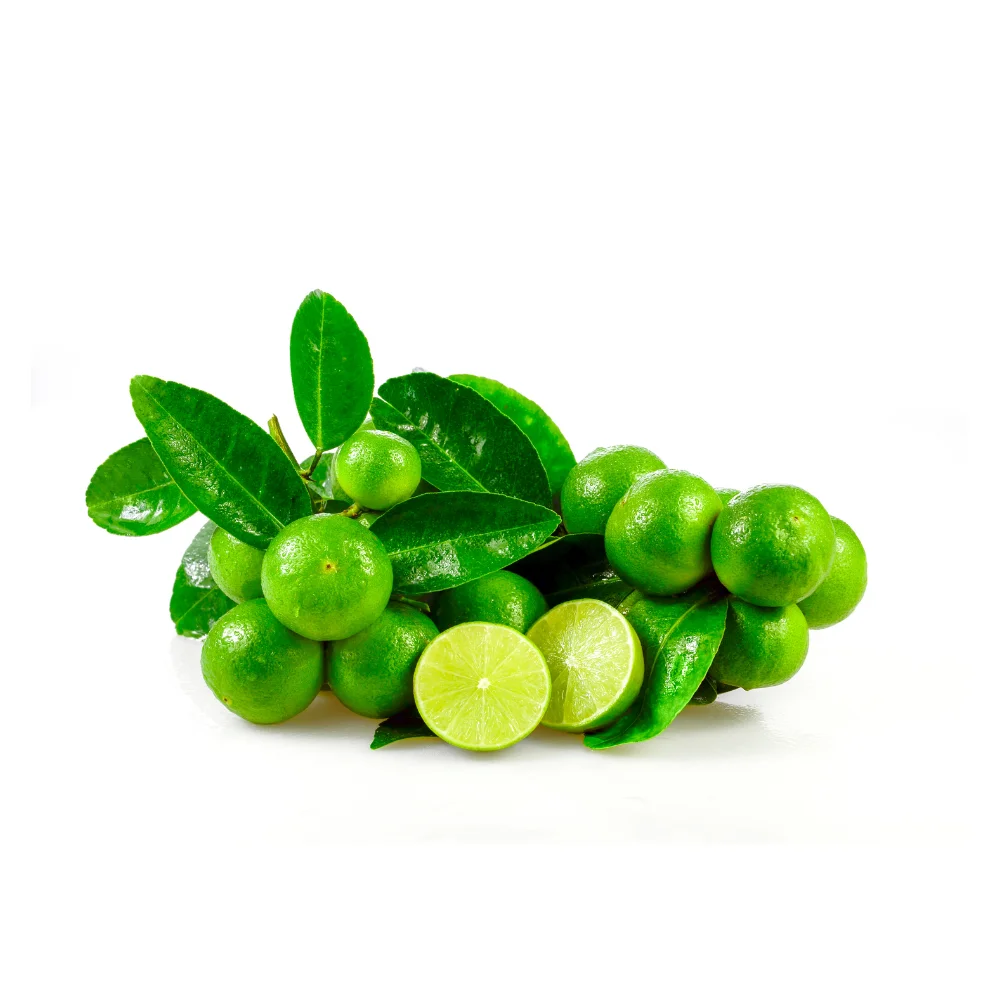 Vietnamese Seedless Lime Wholesale Fresh Lime For Delicious Fruit Best Price Citrus Fruit Ready To Ship