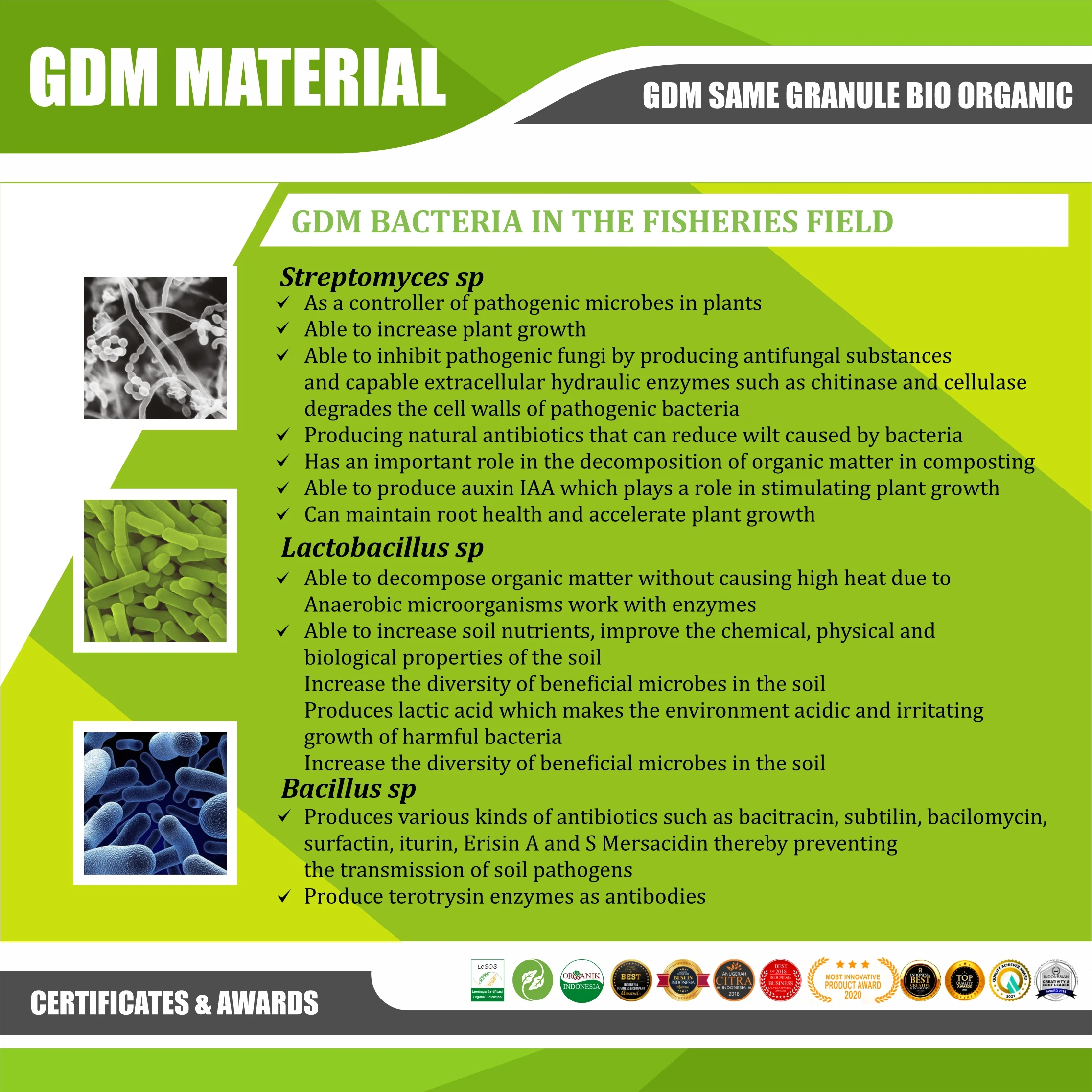 Granule BIO ORGANIC GDM SA-ME ORGANIC Fertilizer Repair Soil Ecosystem Prevent Soil Borne Disease Provide C-organic for Soil -