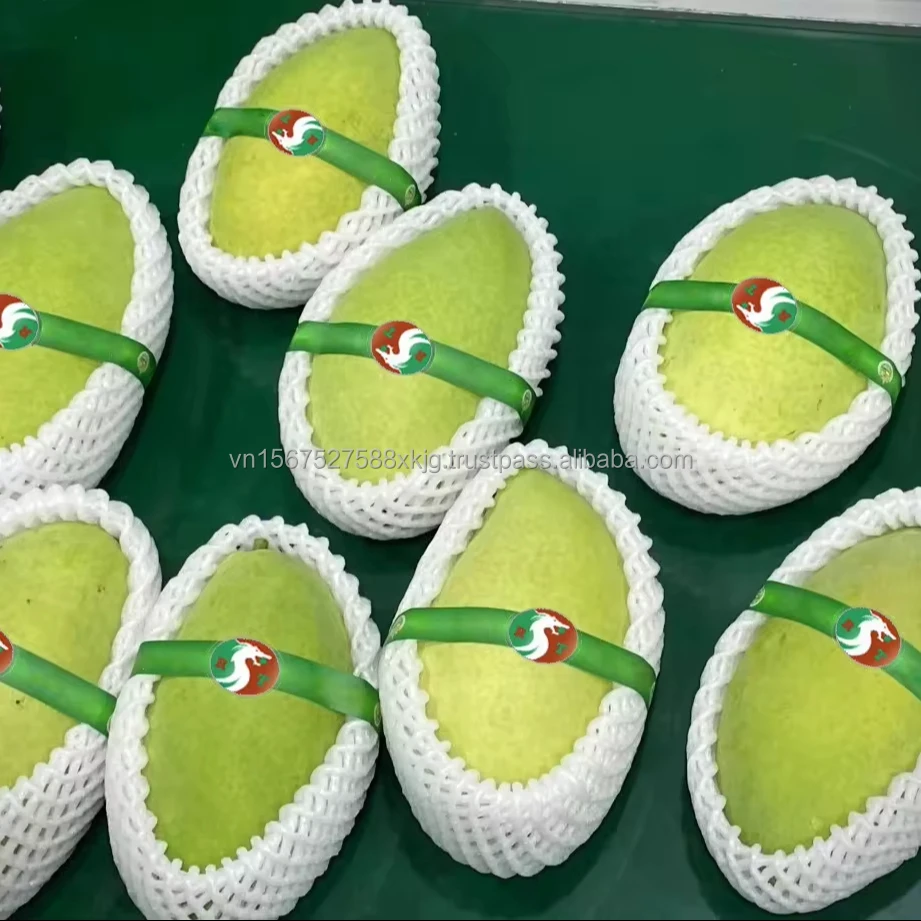 [HOT] High quality fresh Cat chu mangoes fresh fruit natural export from reputable manufacturers in Vietnam